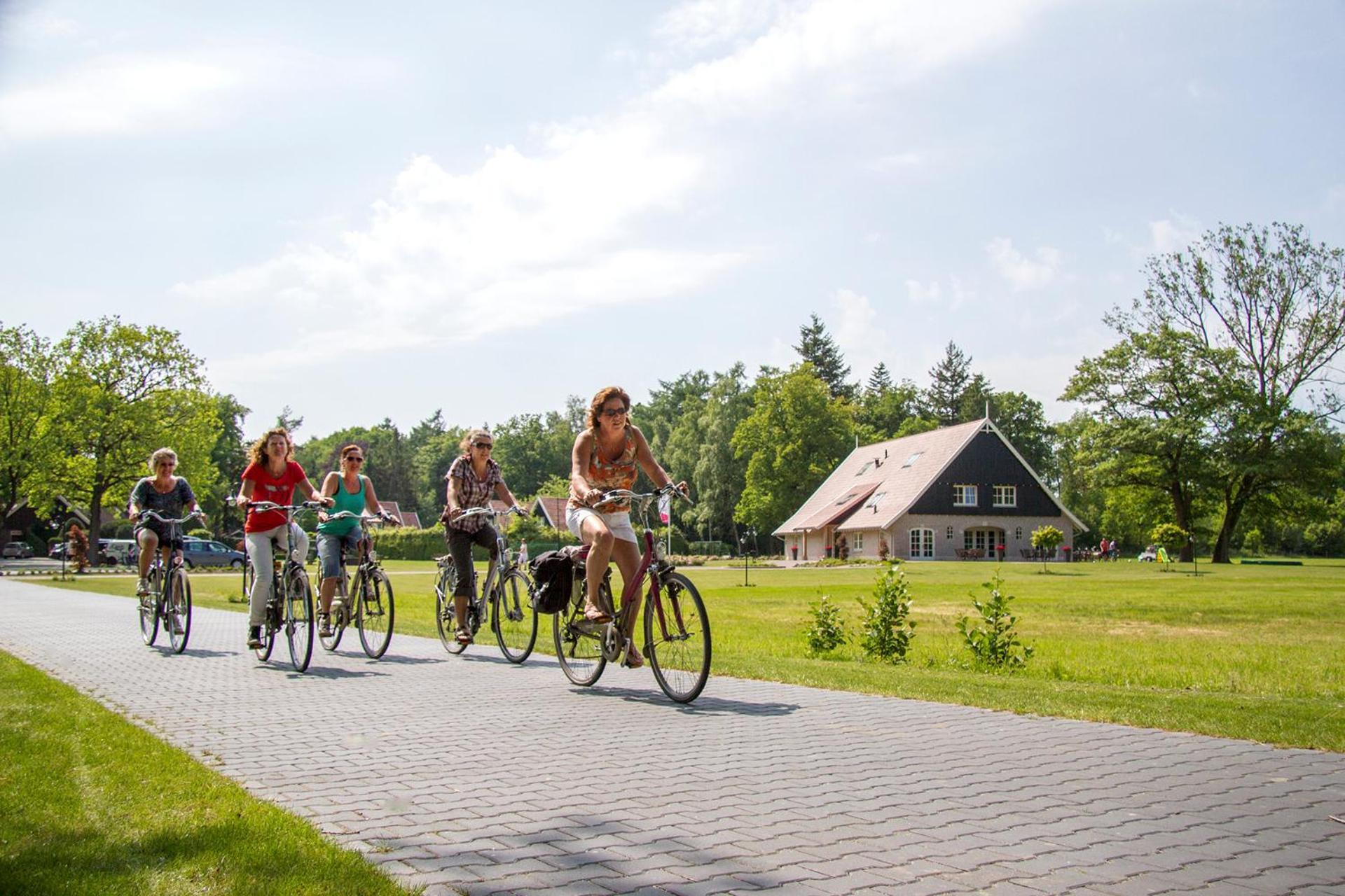 Vila 'T Borghuis Losser Exteriér fotografie